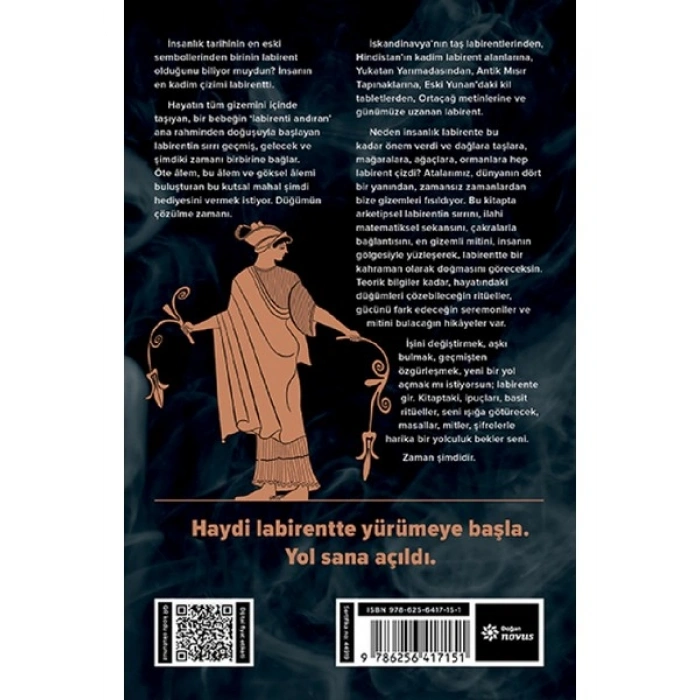 Doğan Novus Labirent Efe Elmas Ciltsiz Kitap 224 Sayfa Doğan Yayınları 2023