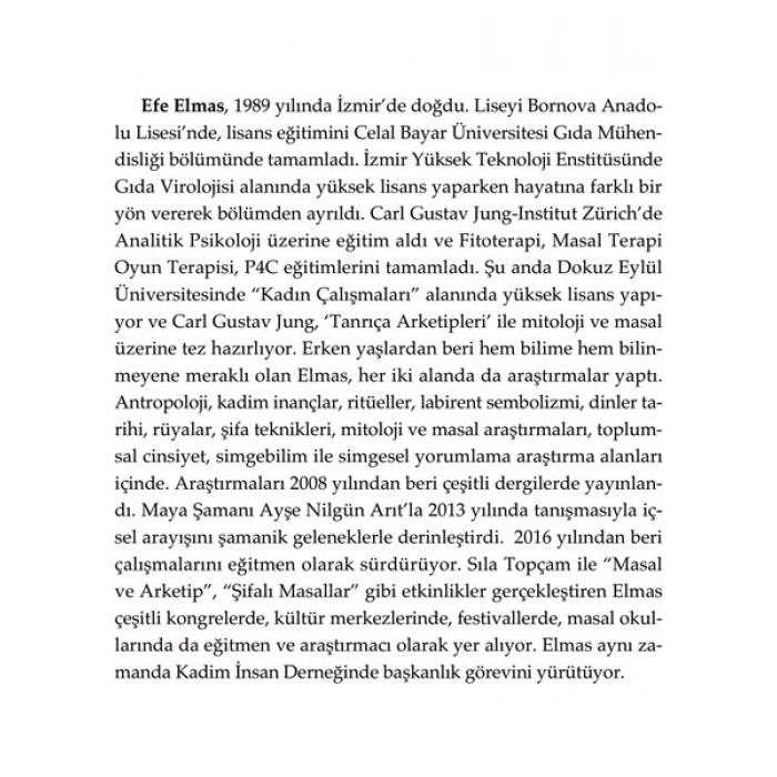 Doğan Novus Labirent Efe Elmas Ciltsiz Kitap 224 Sayfa Doğan Yayınları 2023