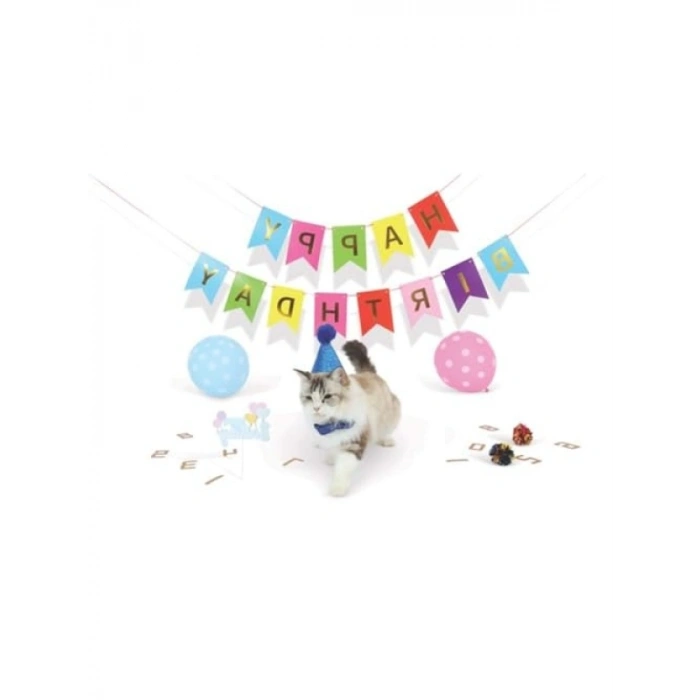 Doğum Günü Kutlaması için Kedi Seti