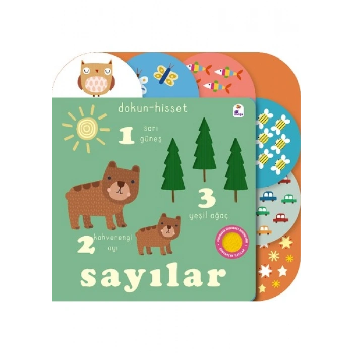Dokun- Hisset - Sayılar