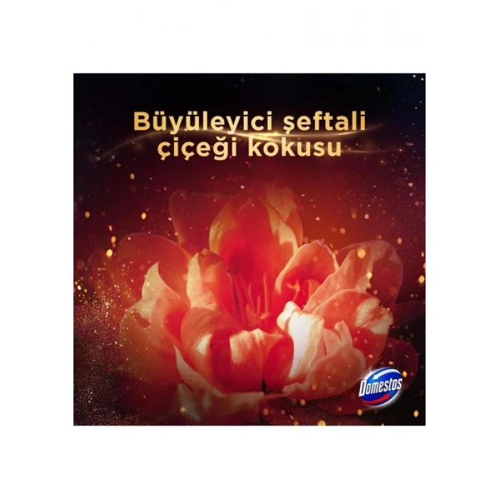 Domestos Aroma Lux Tuvalet Bloğu Şeftali Çiçeği 100g