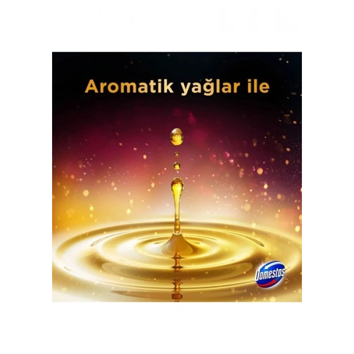 Domestos Aroma Lux Tuvalet Bloğu Yıldız Çiçeği 100g