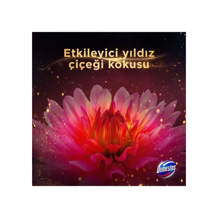 Domestos Aroma Lux Tuvalet Bloğu Yıldız Çiçeği 100g