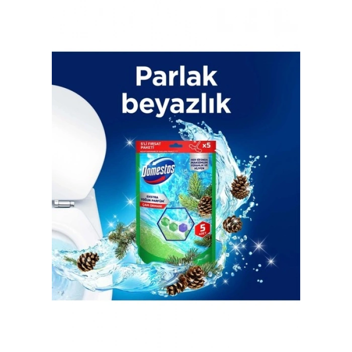 Domestos Tuvalet Bloğu Çam Ormanı 5Li Güç 250 G