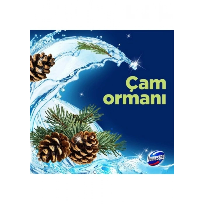 Domestos Tuvalet Bloğu Çam Ormanı 5Li Güç 250 G
