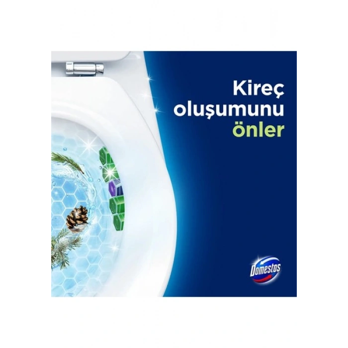 Domestos Tuvalet Bloğu Çam Ormanı 5Li Güç 250 G