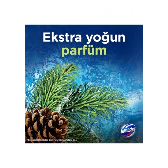 Domestos Tuvalet Bloğu Çam Ormanı 5Li Güç 250 G