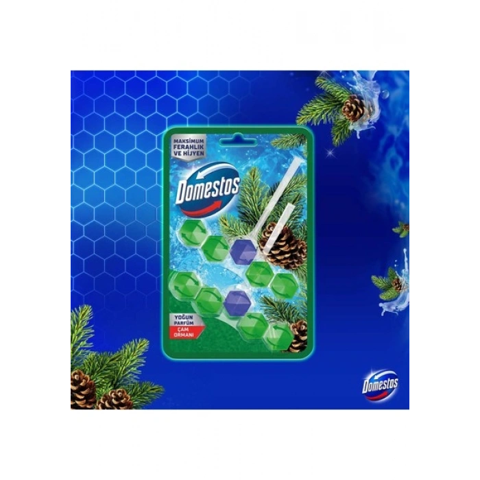Domestos WC Blok Yoğun Parfümlü Çam Ormanı 2x50g