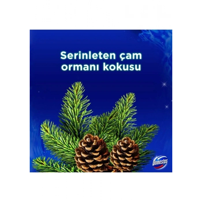 Domestos WC Blok Yoğun Parfümlü Çam Ormanı 50g