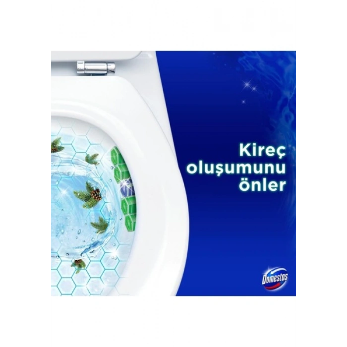 Domestos WC Blok Yoğun Parfümlü Çam Ormanı 50g