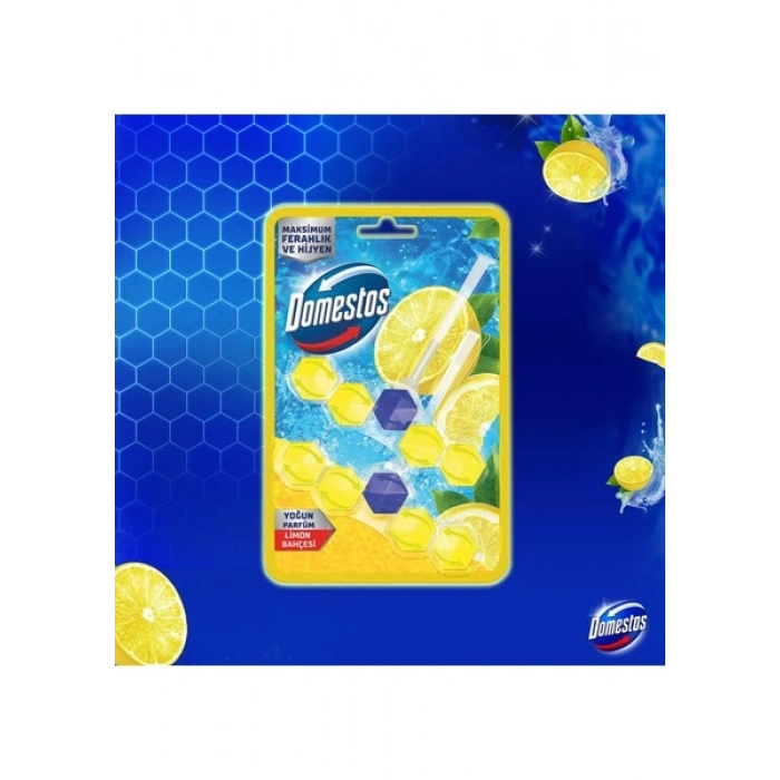 Domestos WC Blok Yoğun Parfümlü Limon Bahçesi 2x50g