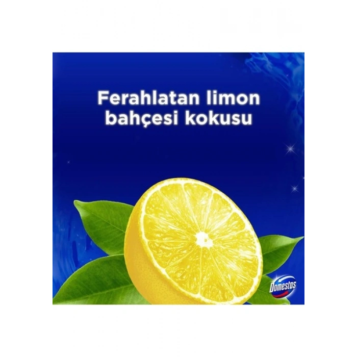 Domestos WC Blok Yoğun Parfümlü Limon Bahçesi 2x50g