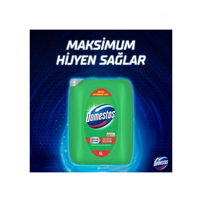 Domestos Yoğun Kıvamlı Çamaşır Suyu Çam Ferahlığı 5000 ml