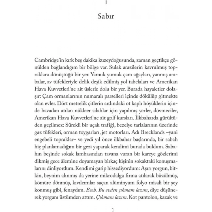 Domingo Yayınevi Atmacanın Ası - Helen Macdonald