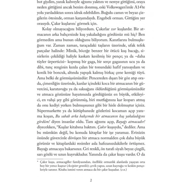 Domingo Yayınevi Atmacanın Ası - Helen Macdonald