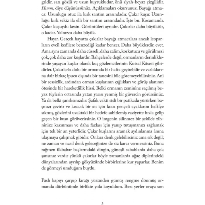 Domingo Yayınevi Atmacanın Ası - Helen Macdonald