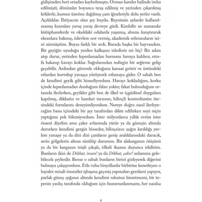 Domingo Yayınevi Atmacanın Ası - Helen Macdonald