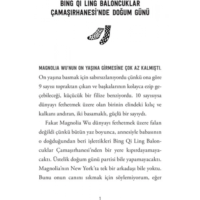 Domingo Yayınevi Çorap Dedektifi Magnolia Wu - Chanel Miller
