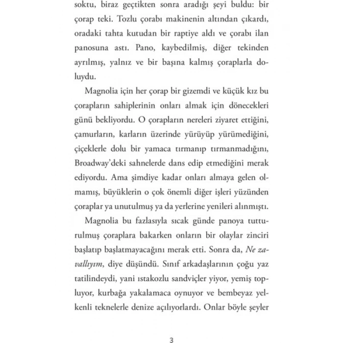 Domingo Yayınevi Çorap Dedektifi Magnolia Wu - Chanel Miller