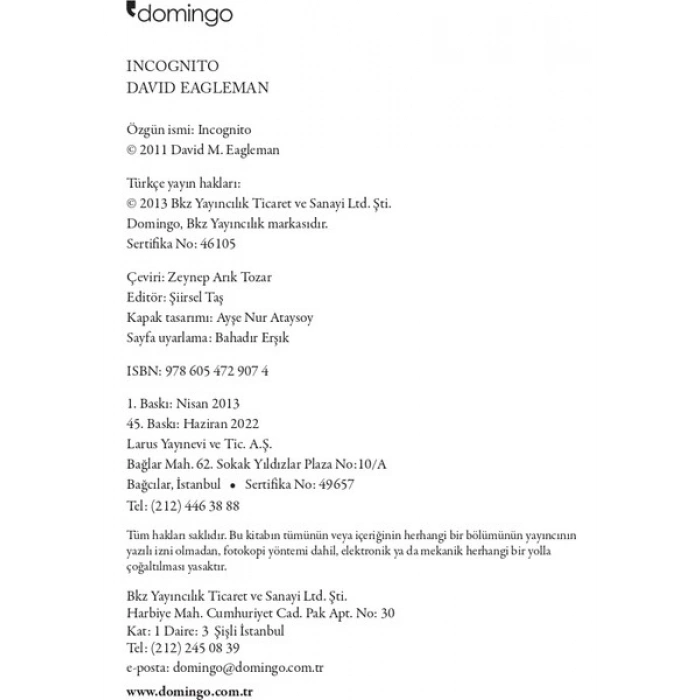 Domingo Yayınevi Incognito - Beynin Gizli Hayatı - David Eagleman - 294 Sayfa - Türkçe Yayın