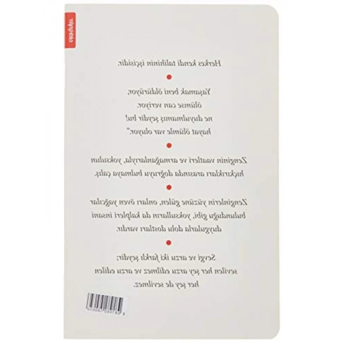 Don Kişot Temalı Defter