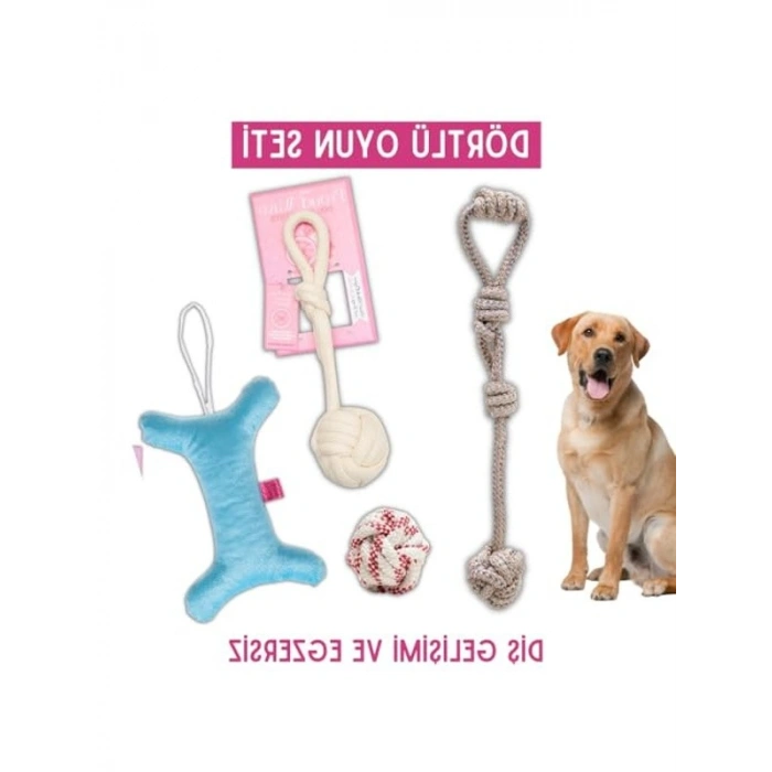 Dörtlü Set Pamuk İpliği Halatlı Köpek Diş İpi Oyuncağı