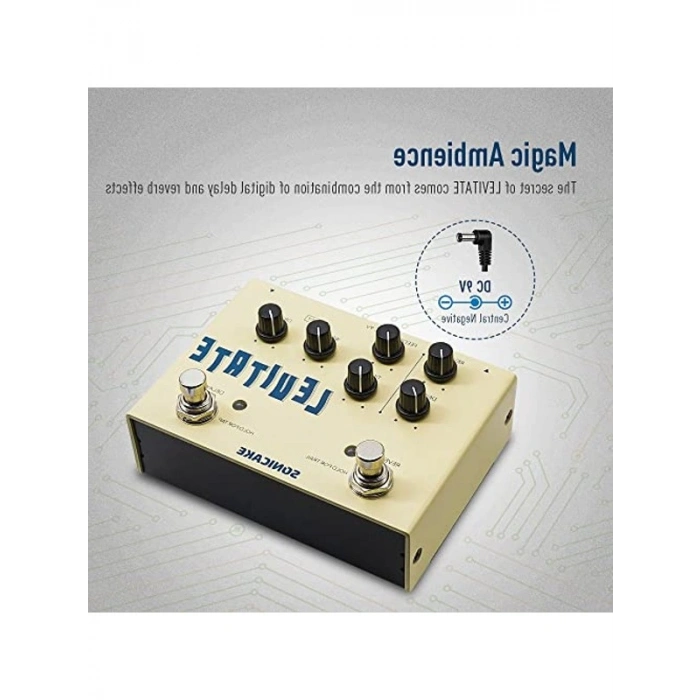 DuaLane Delay-Reverb Efekt Pedalı, Profesyonel Kullanım