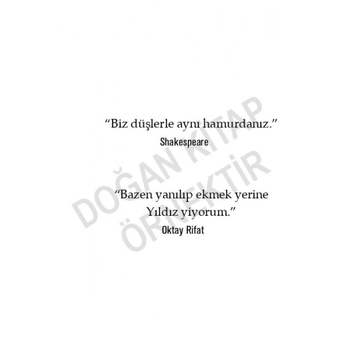 Düş Ekmeği - Batık Bir Gemi - Oktay Akbal