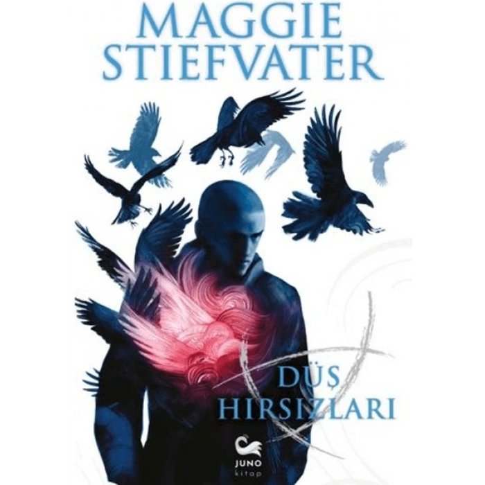 Düş Hırsızları - Maggie Stiefvater