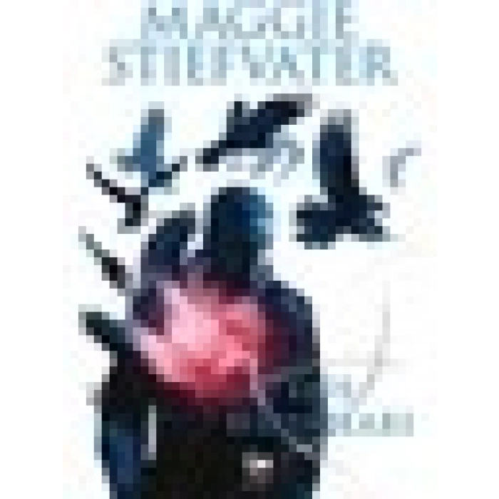 Düş Hırsızları - Maggie Stiefvater