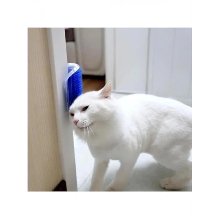 Duvara Monte Edilebilir Kedi Kaşınma Aparatı