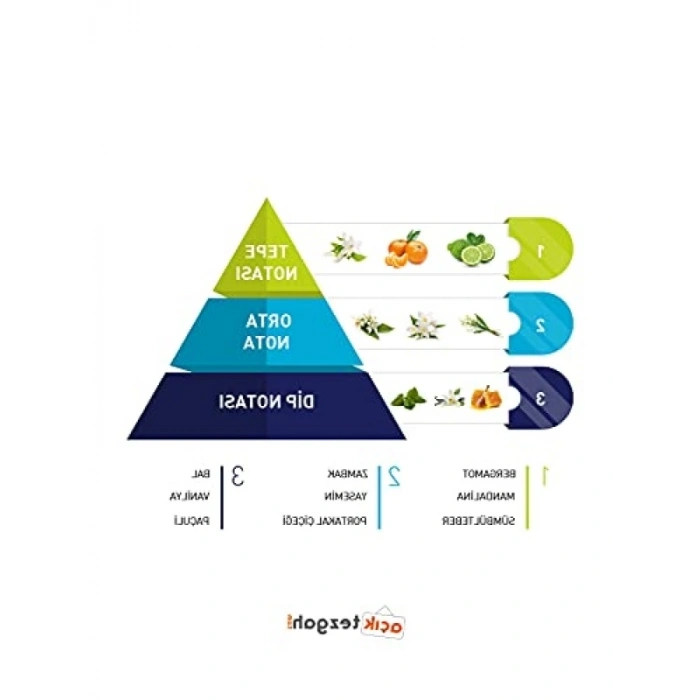 EDP Kadın Parfüm - 100 ml Renkli