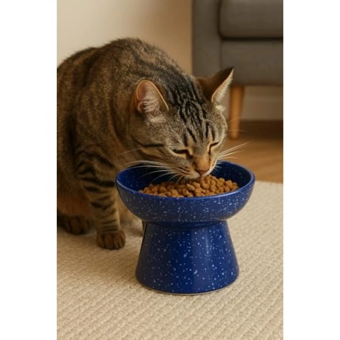 Eğimli Yüksek Seramik Mama ve Su Kabı - Ergonomik Tasarım