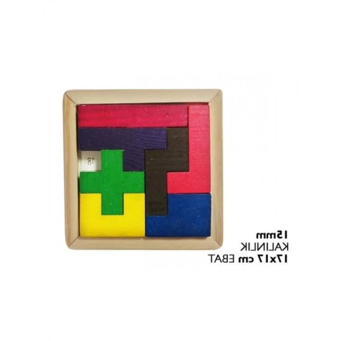 Eğitici Pratik Zeka Oyun Seti