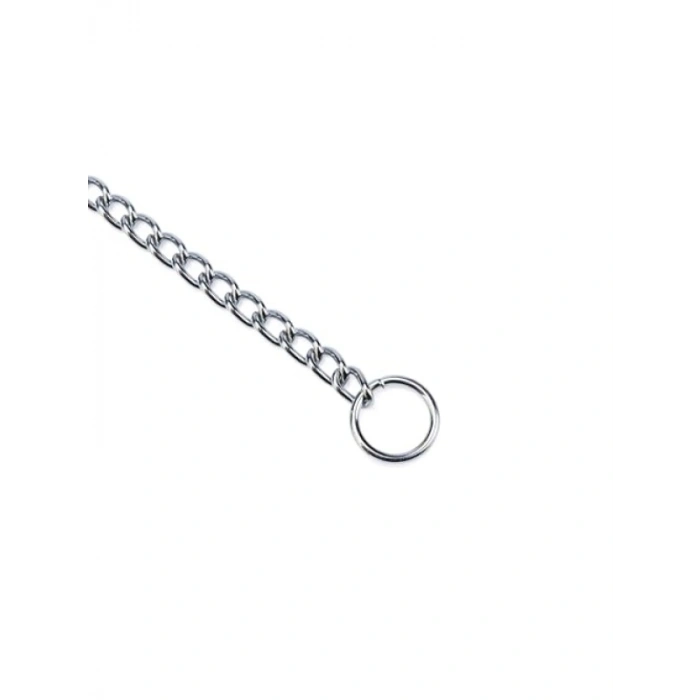 Eğitim Tasması - 50 cm / 2,5 mm