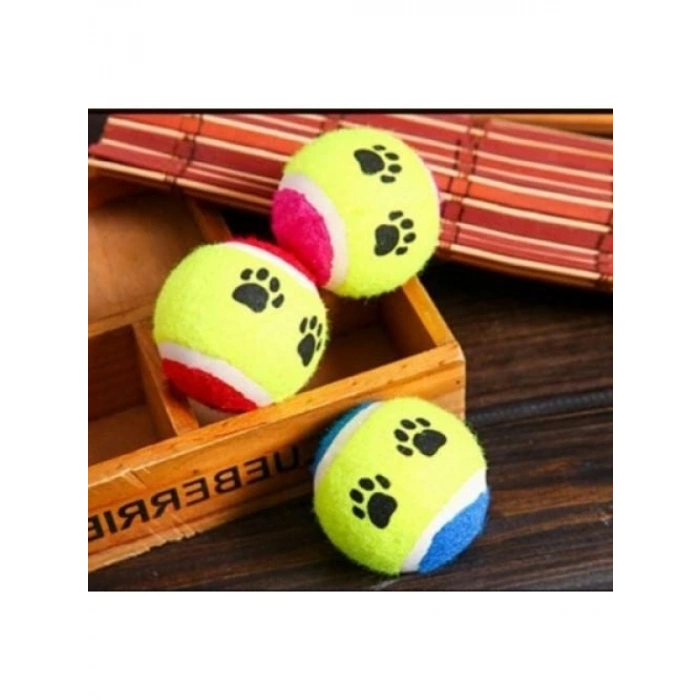 Eğlenceli Köpek Eğitim Topu - 6,5 cm