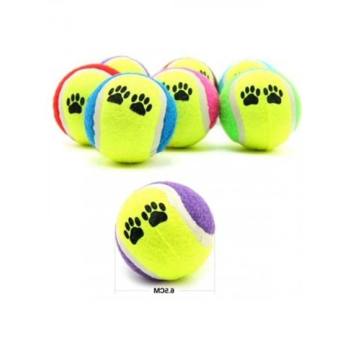 Eğlenceli Köpek Eğitim Topu - 6,5 cm