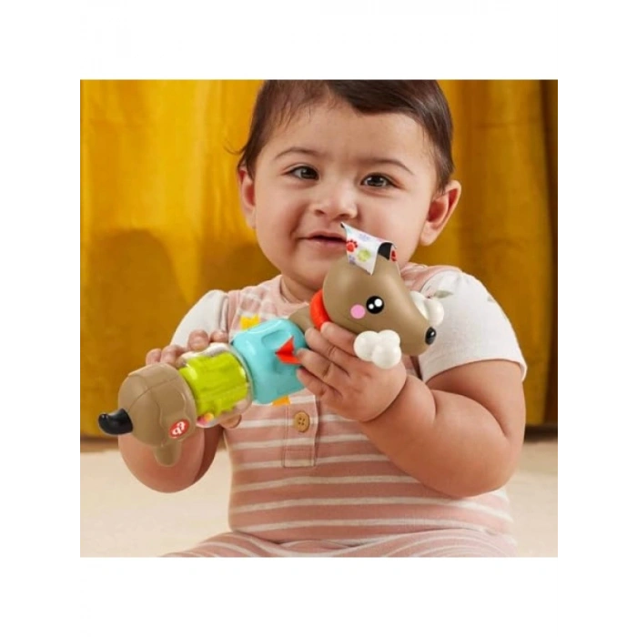 Eğlenceli Köpek Temalı Bebek Oyuncağı