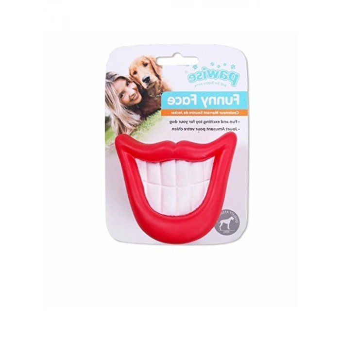 Eğlenceli Saksı Oyuncağı - Büyük Diş