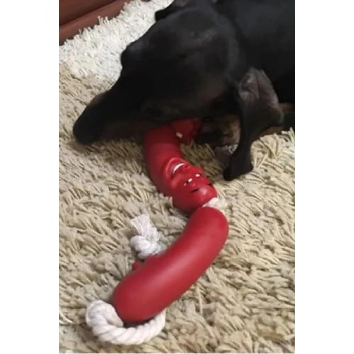 Eğlenceli Sosis Şeklinde Köpek Oyuncağı
