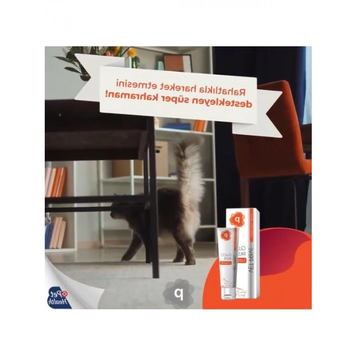 Eklem Desteği Pasta, Kedi ve Köpekler için Özel Formül