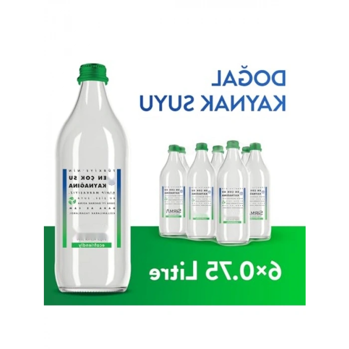 Ekolojik Cam Su Şişesi 6x750 ml