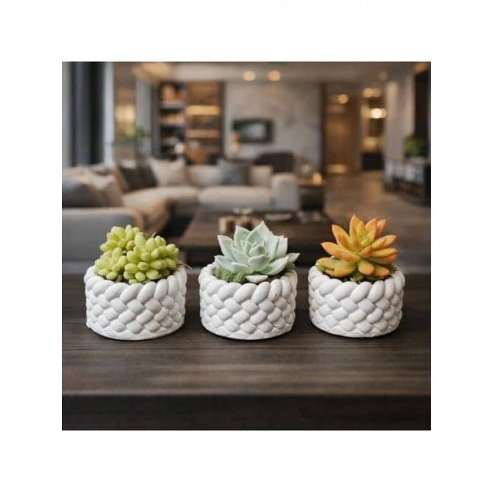 El Yapımı Mini Saksı Seti, 5 cm, Modern Beton Tasarım