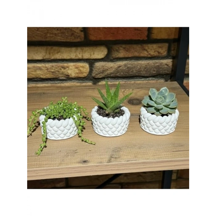 El Yapımı Mini Saksı Seti, 5 cm, Modern Beton Tasarım
