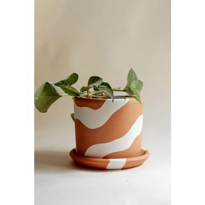 El Yapımı Terracotta Silindir Saksı + Tabak - Bohem Beyaz (Küçük)