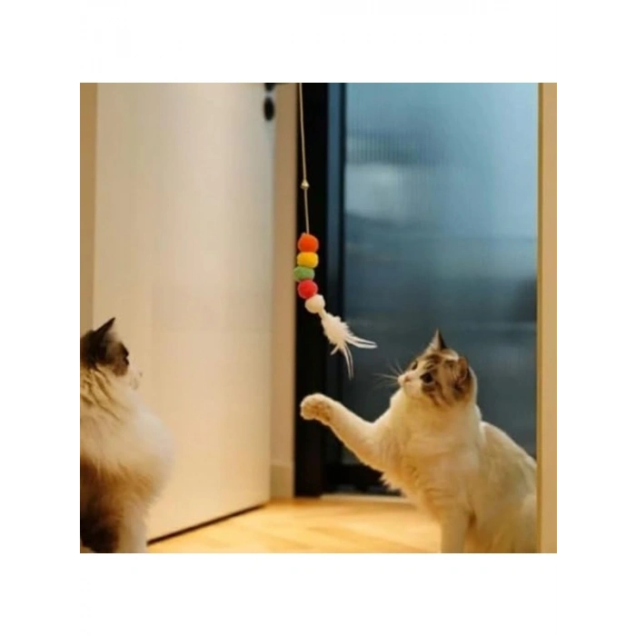 Elastik Kedi Oltası - Eğlenceli Oyun İçin