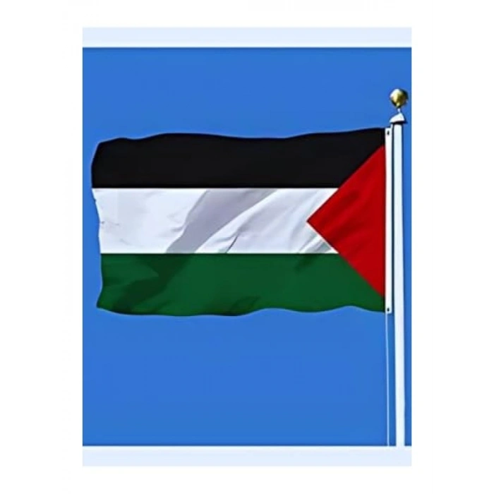 Elde Sallama Bayrağı - Filistin 30x45 cm