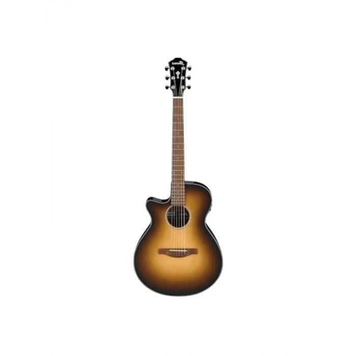 Elektro Akustik Gitar