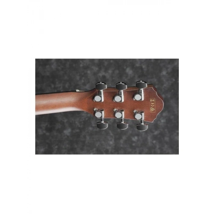 Elektro Akustik Gitar