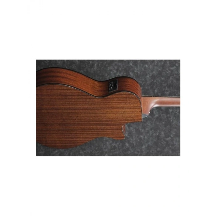 Elektro Akustik Gitar